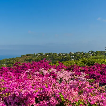 Hotel Il Girasole Anacapri (Isola di Capri)