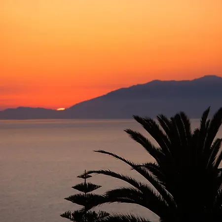 Il Girasole