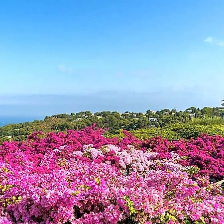 Il Girasole 3* Anacapri (Isola di Capri)