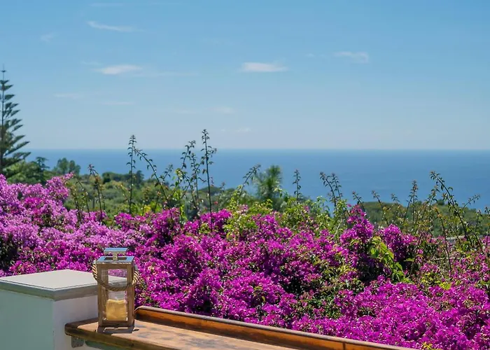 Il Girasole 3* Anacapri (Isola di Capri)