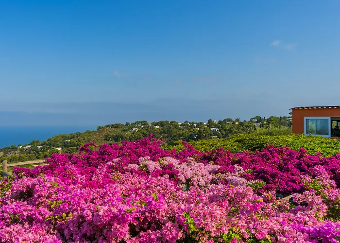 Hotell Il Girasole Anacapri (Isola di Capri)